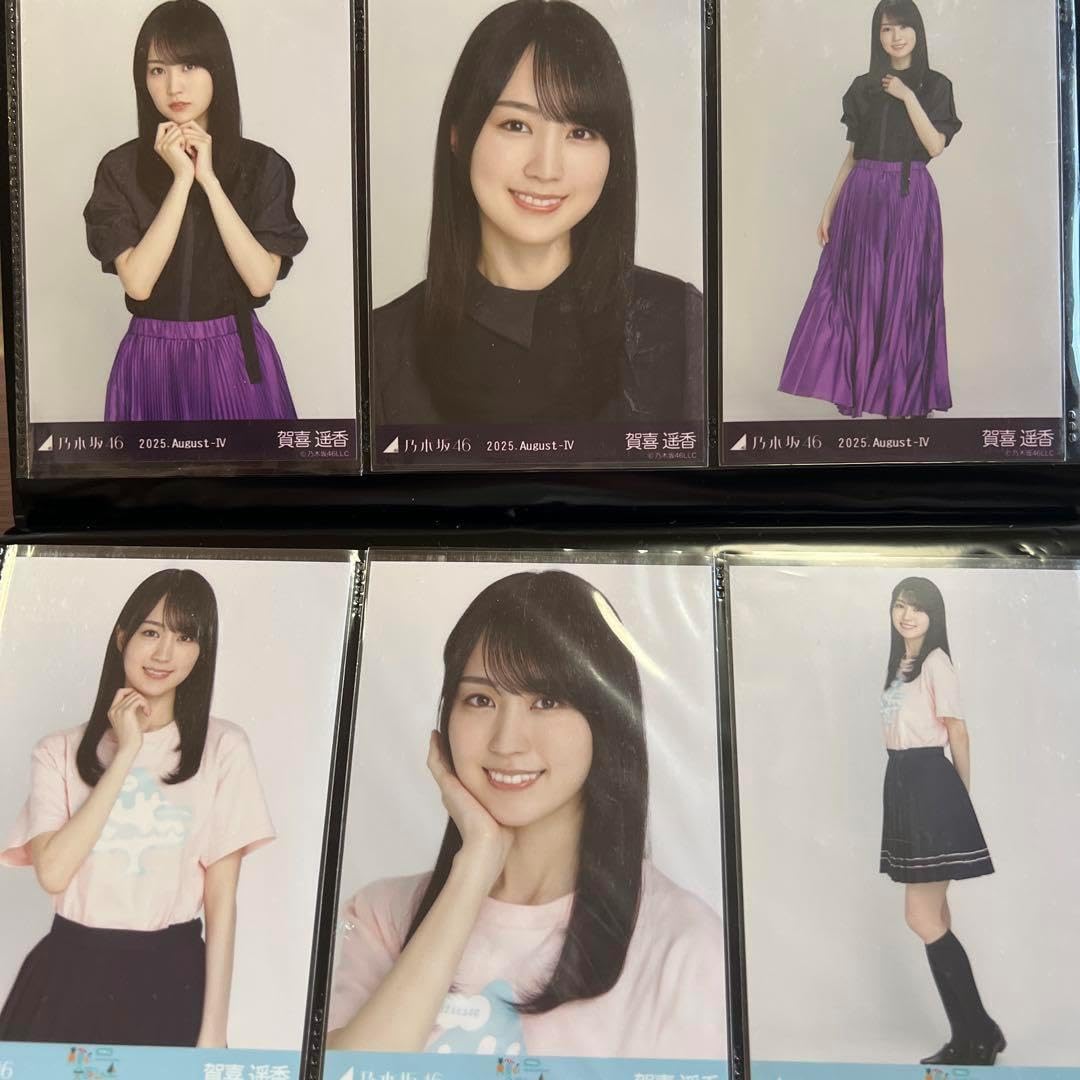 雲中富士 高級額縁 画歴付き 掲載新聞 絵画 富士山 個展 全国